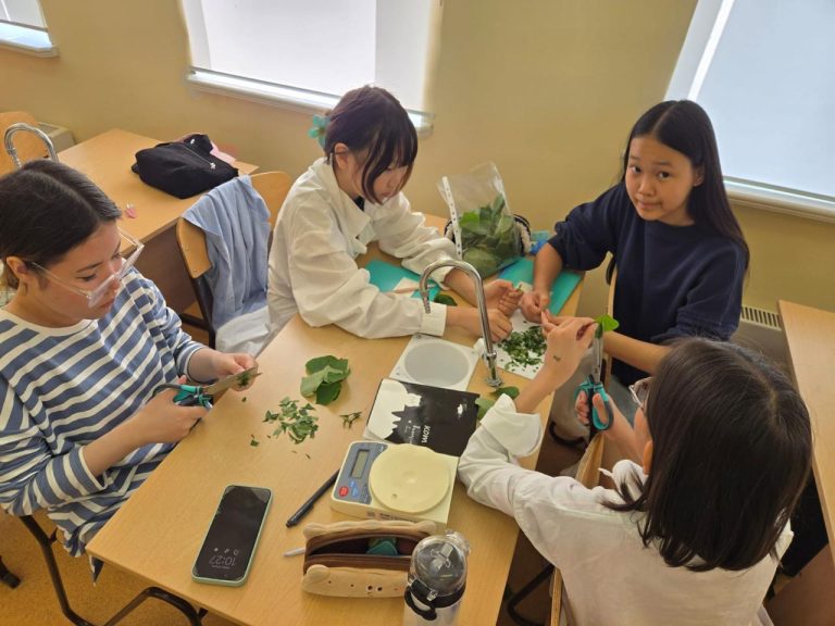 WhatsApp Image 2025-06-26 at 09.38.01 (2)